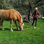 Bauernhof Gfraser * סרפהאוס
