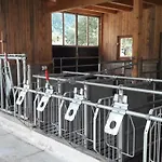 בית חווה Bauernhof Gfraser
