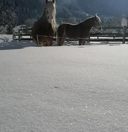 Farm stay Bauernhof Gfraser