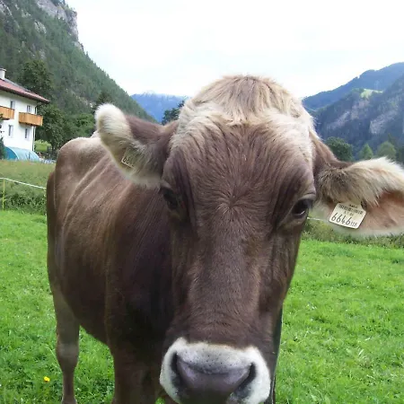 Bauernhof Gfraser Serfaus