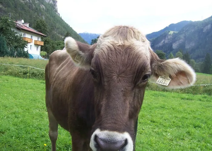 Bauernhof Gfraser Serfaus