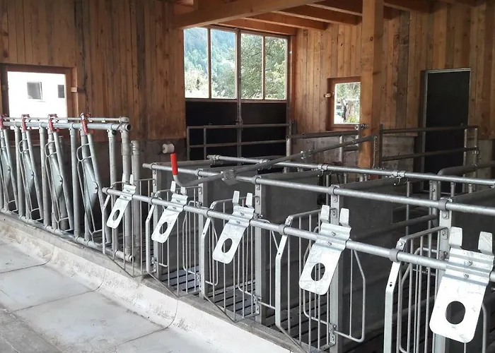 Farmház Bauernhof Gfraser