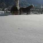 Farma Bauernhof Gfraser