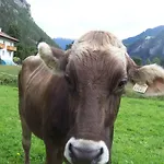 Bauernhof Gfraser Serfaus