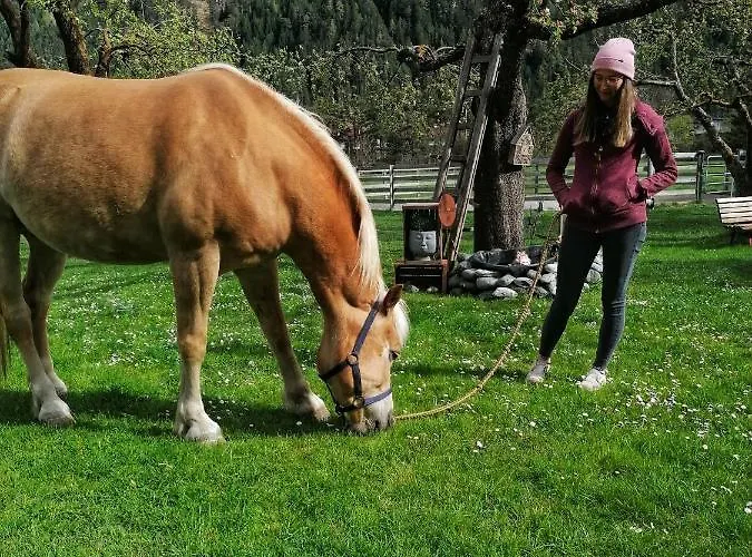 Bauernhof Gfraser * سيرفاوس